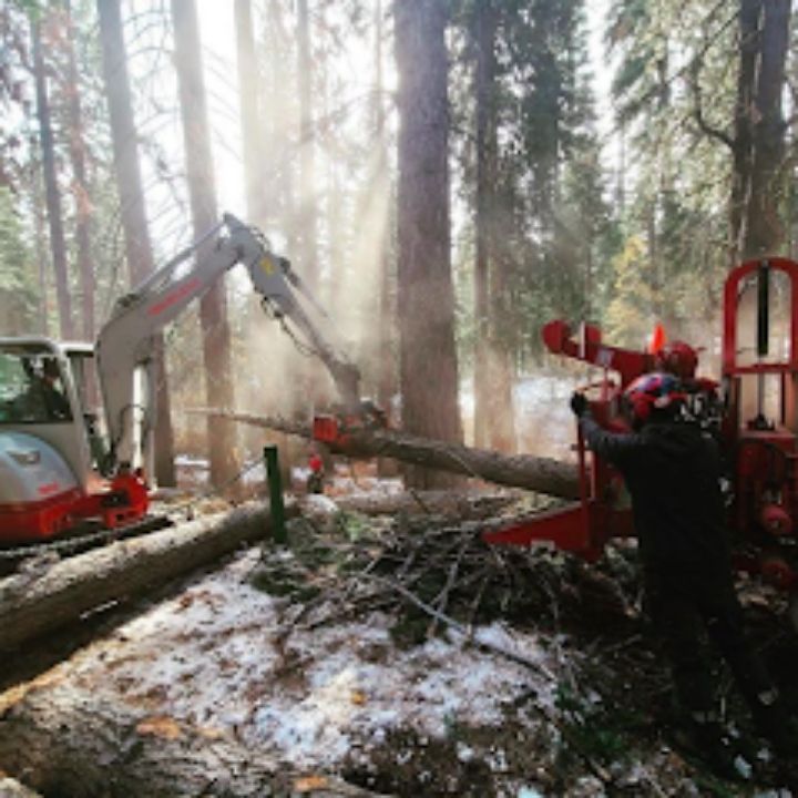 Jeremiah's Tree Service