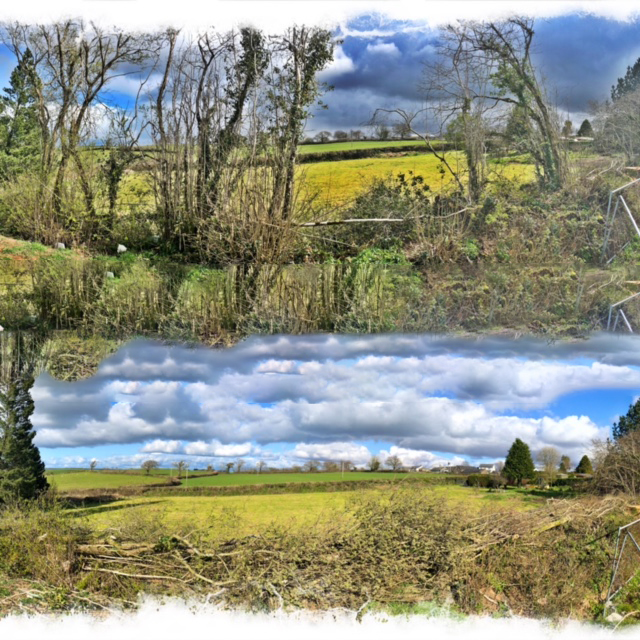 Cornish Trees & Gardens Ltd