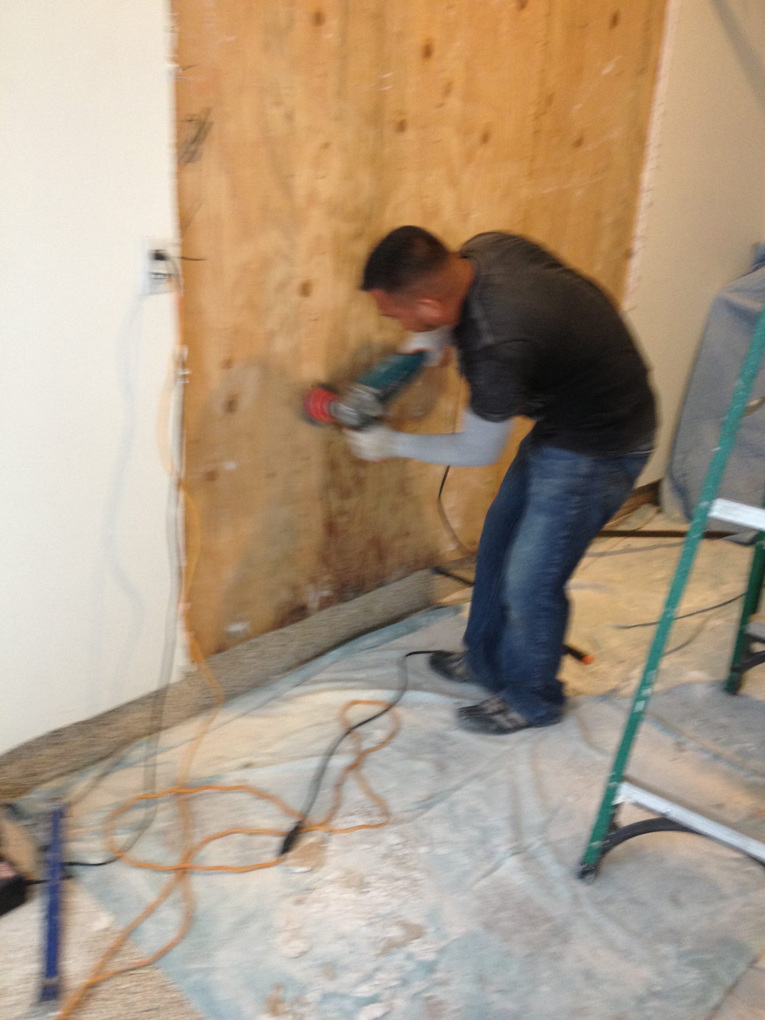 Tarzana Mold Removal and Water Damage
